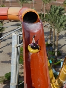 P1020695