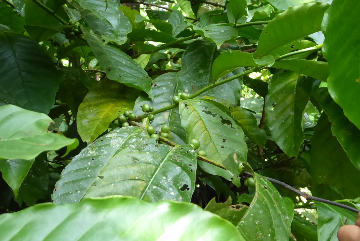 P1080753.JPG