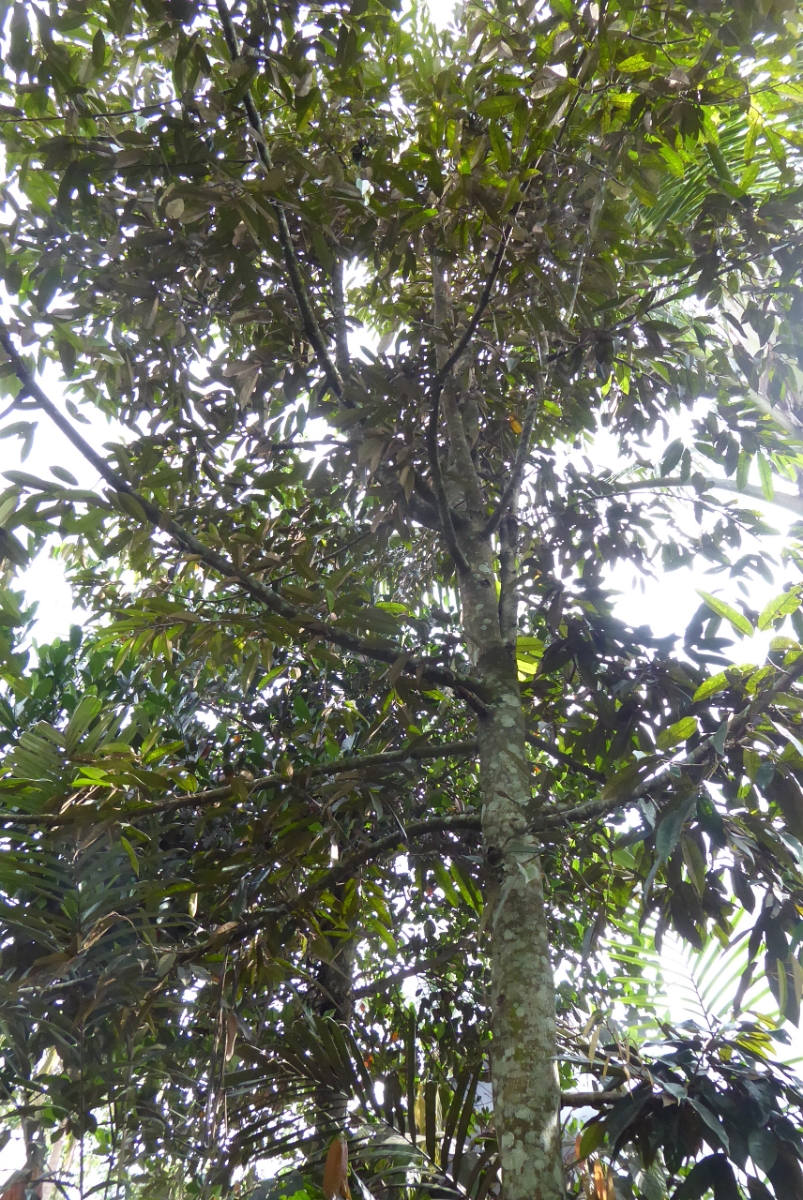 P1080766.JPG