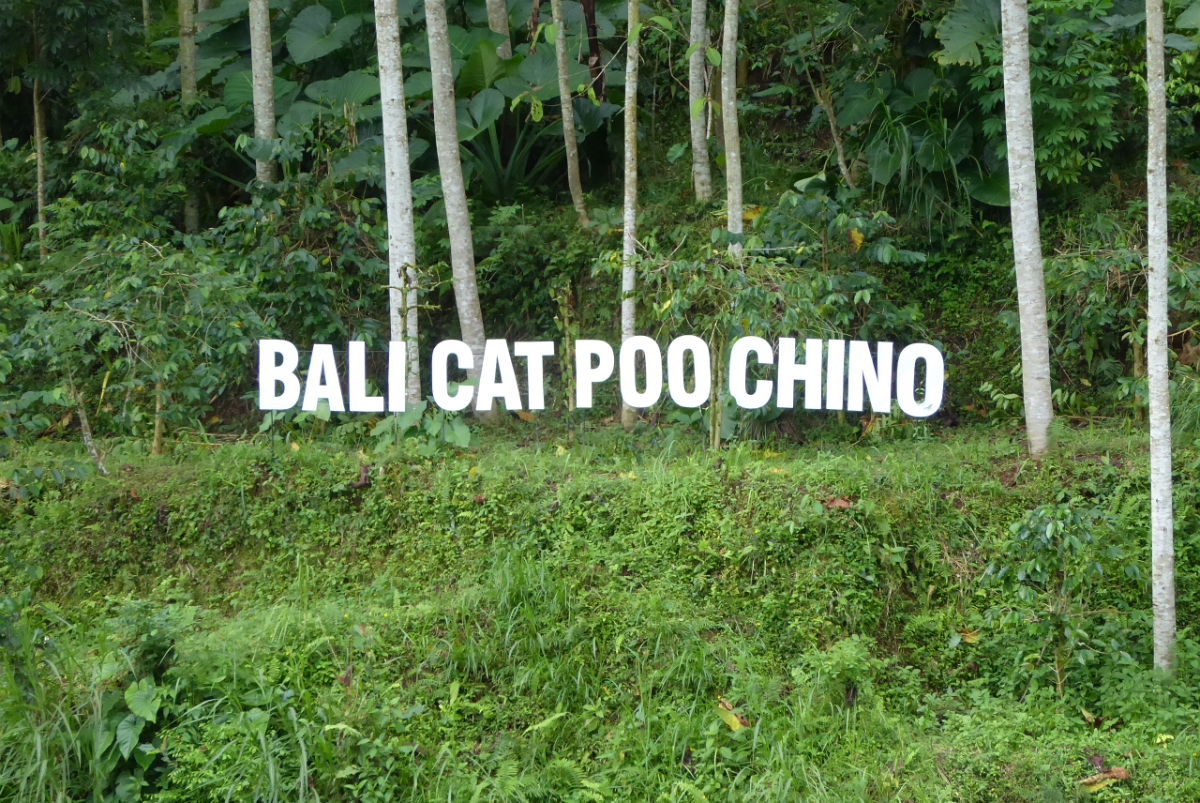 P1080807.JPG