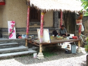 DSCF1329