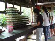 DSCF1401