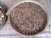 DSCF1417