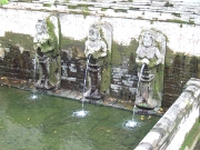 DSCF1425