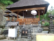 DSCF1431