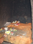 DSCF1437