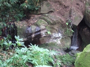 DSCF1444