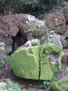 DSCF1445