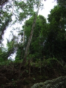 DSCF1447