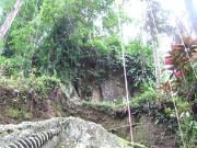 DSCF1449