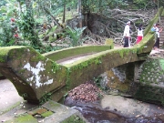 DSCF1450