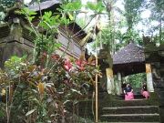 DSCF1452