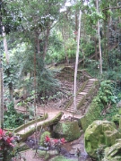 DSCF1455