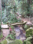 DSCF1458