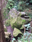 DSCF1460