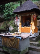 DSCF1461