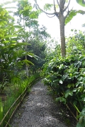P1080750