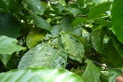 P1080753