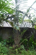 P1080758