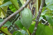 P1080762