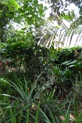 P1080765