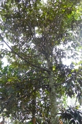 P1080766