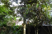 P1080767