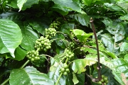 P1080771