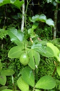 P1080805