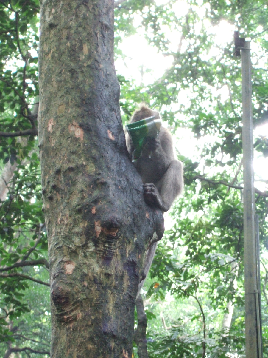 DSCF1530.JPG