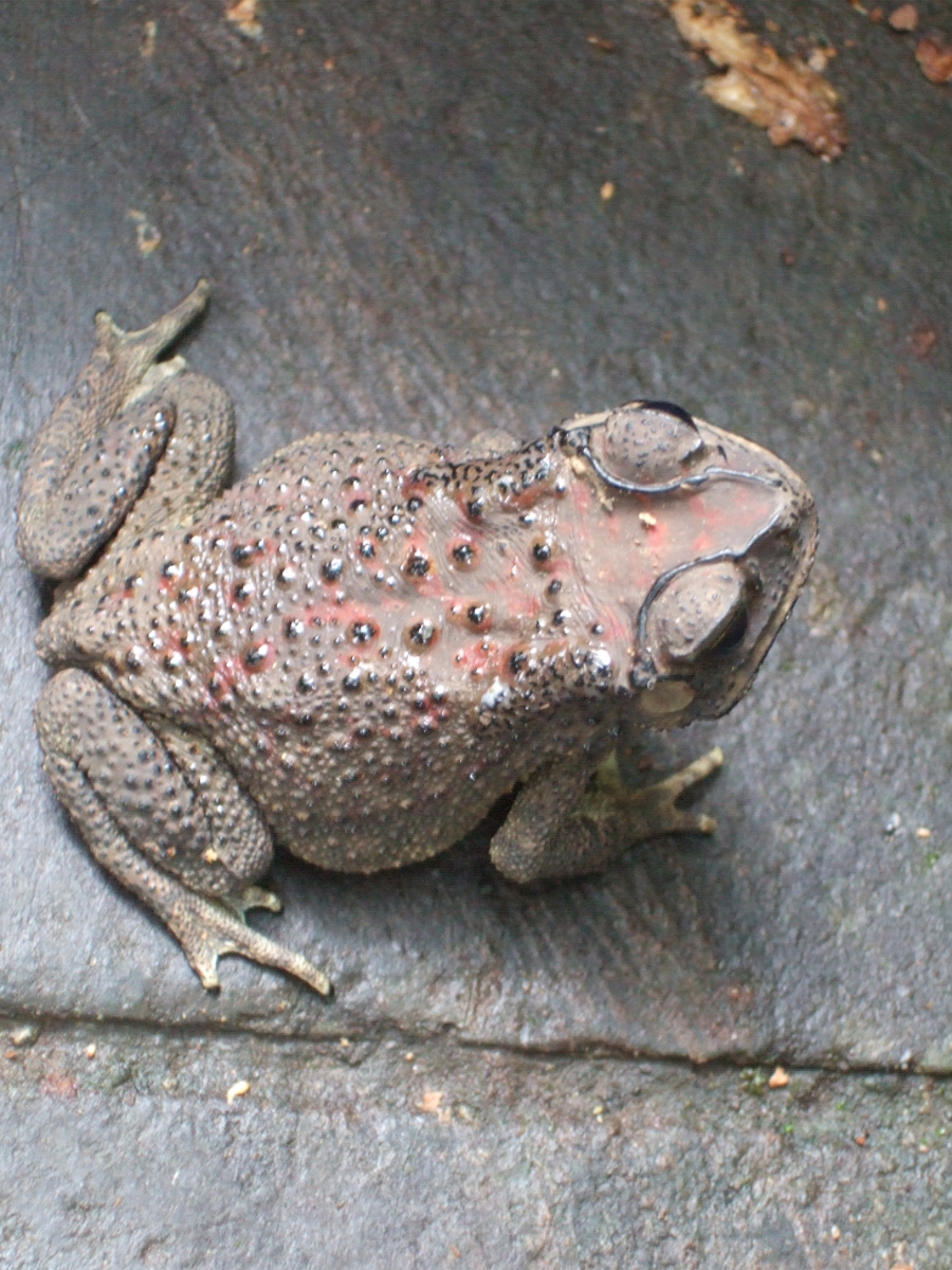 DSCF1560.JPG