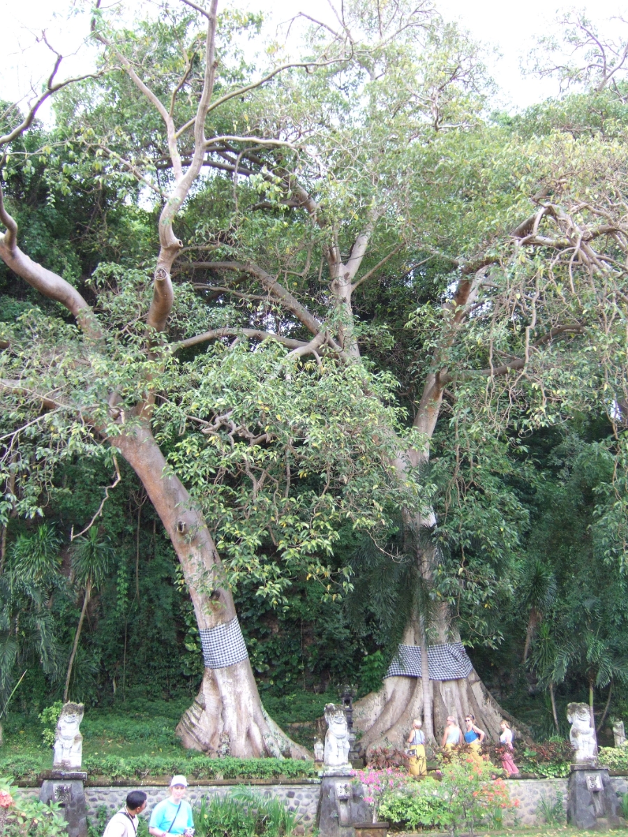 DSCF1652.JPG