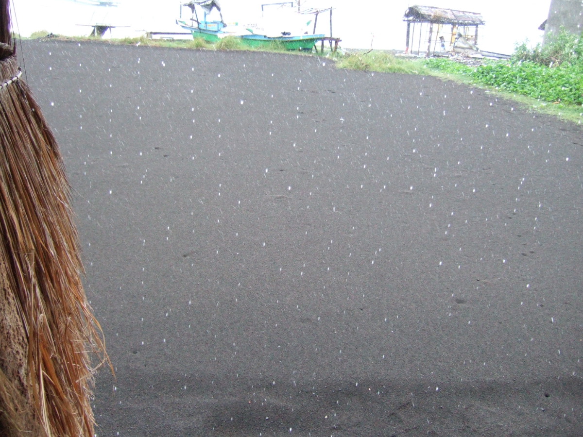 DSCF1662.JPG