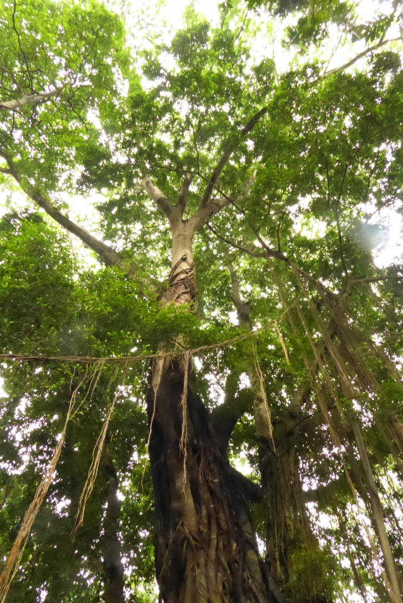 P1080918.JPG