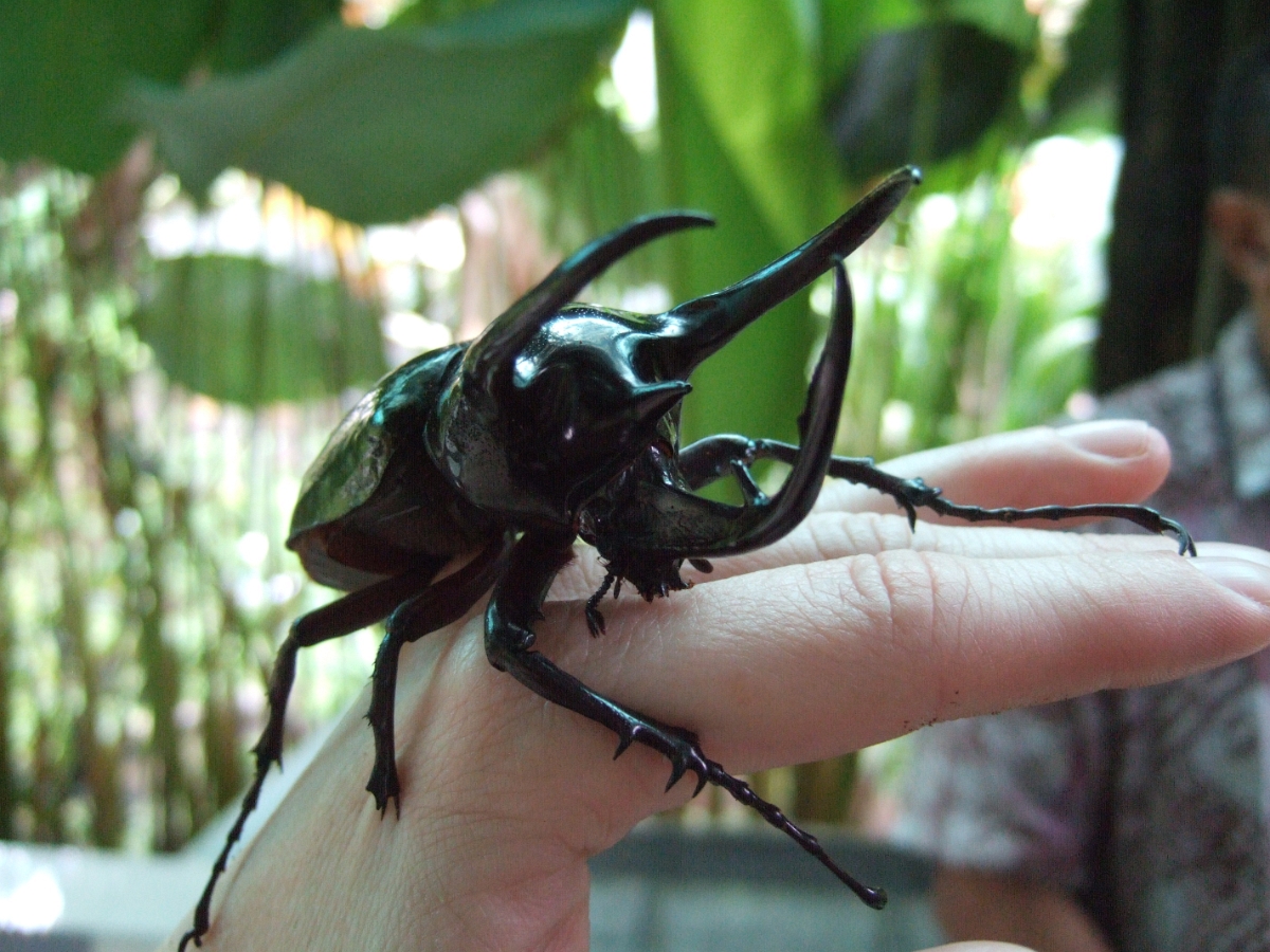 DSCF2071.JPG