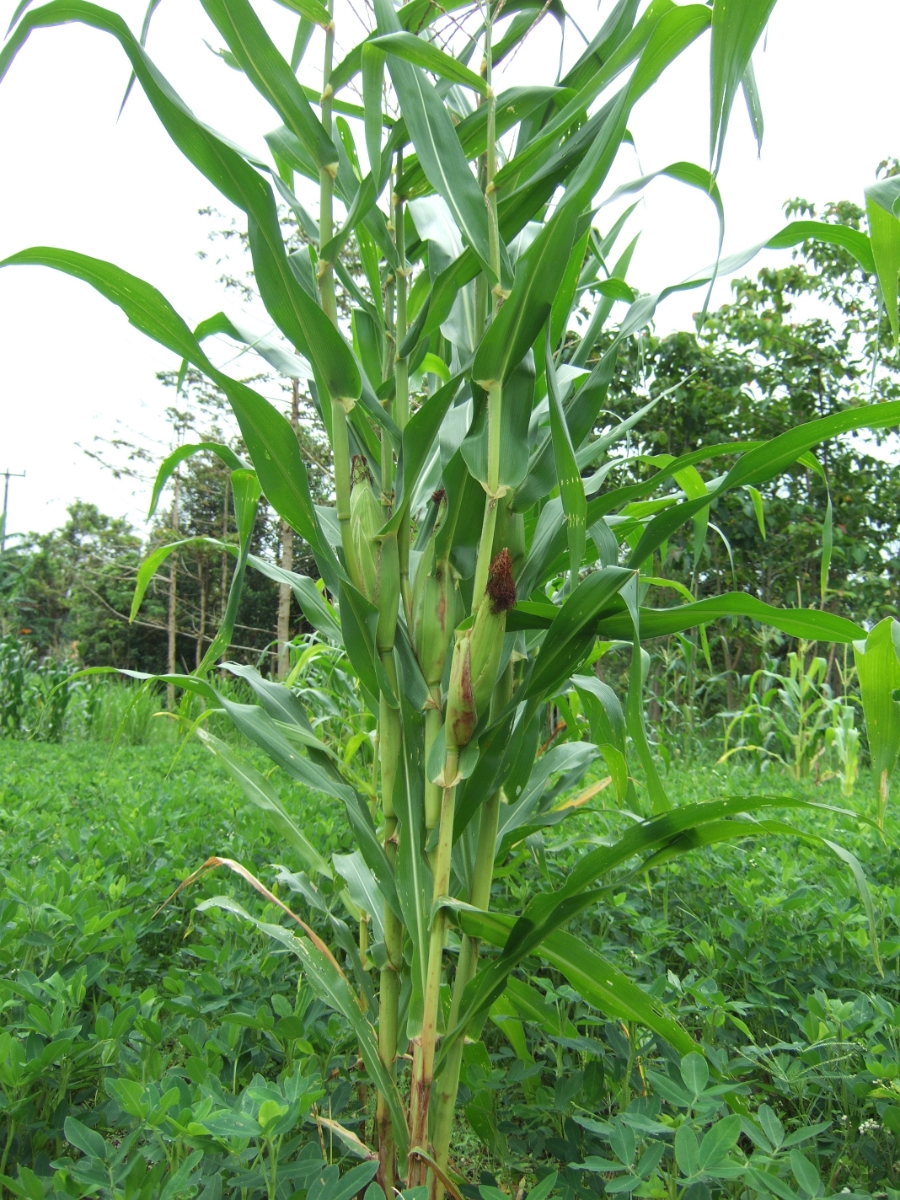DSCF2108.JPG