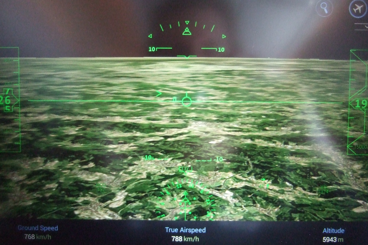 DSCF2941.JPG