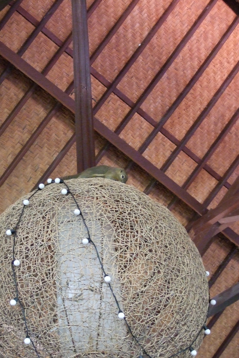 DSCF3060.JPG