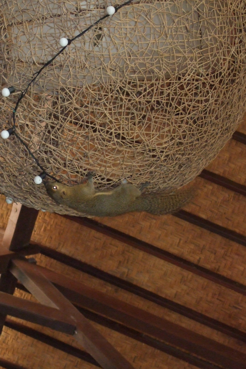 DSCF3066.JPG