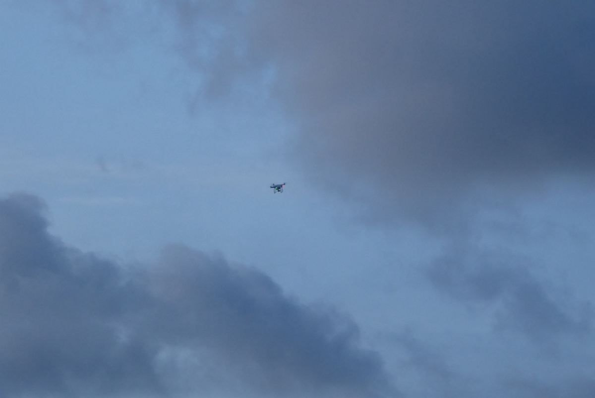 P1100250.JPG