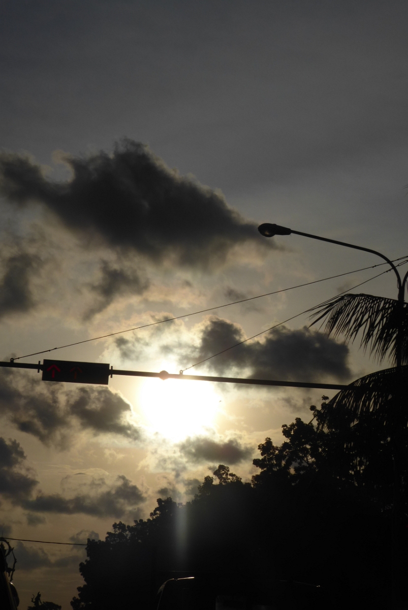 P1100335.JPG