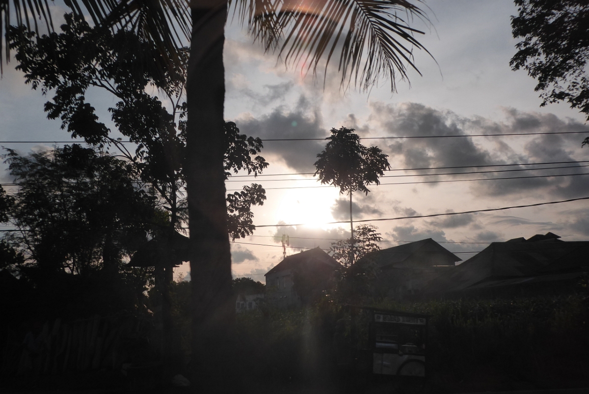 P1100343.JPG