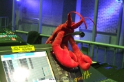 DSCF2185a