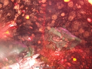 gwar36