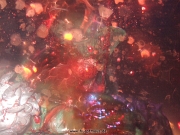 gwar37