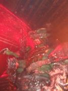 gwar46
