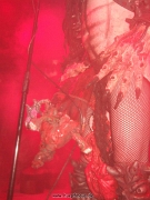 gwar49