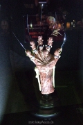 DSCF4035a
