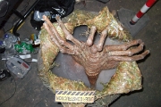 DSCF4054a