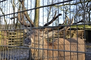 _DSC8708a